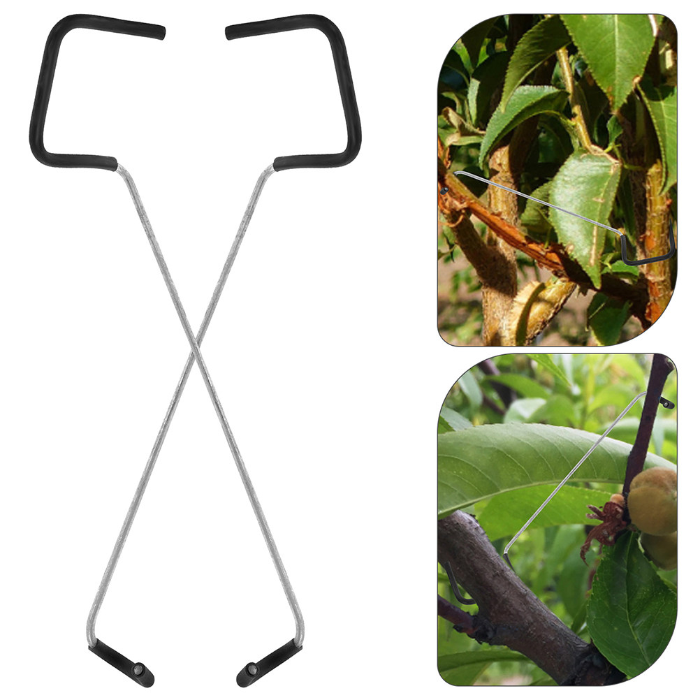 Model Kit Tools - Bonsai Branch Trunk Trainer 10pcs Fruit